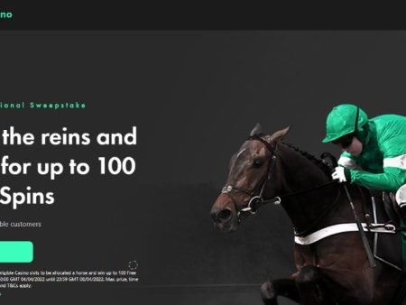 Bet365 Grand National Sweepstake – EXPIRED