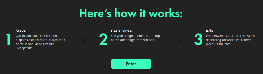 Bet365 Grand National Sweepstake 2022