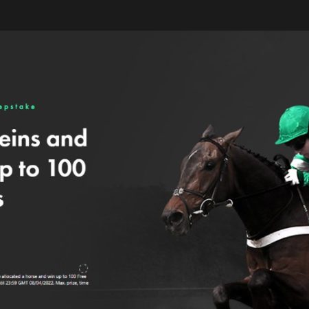 Bet365 Grand National Sweepstake – EXPIRED