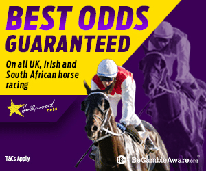 Hollywoodbets horse racing