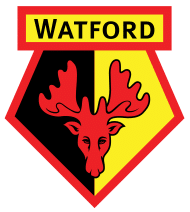 Watford F.C. Nickname – Hornets