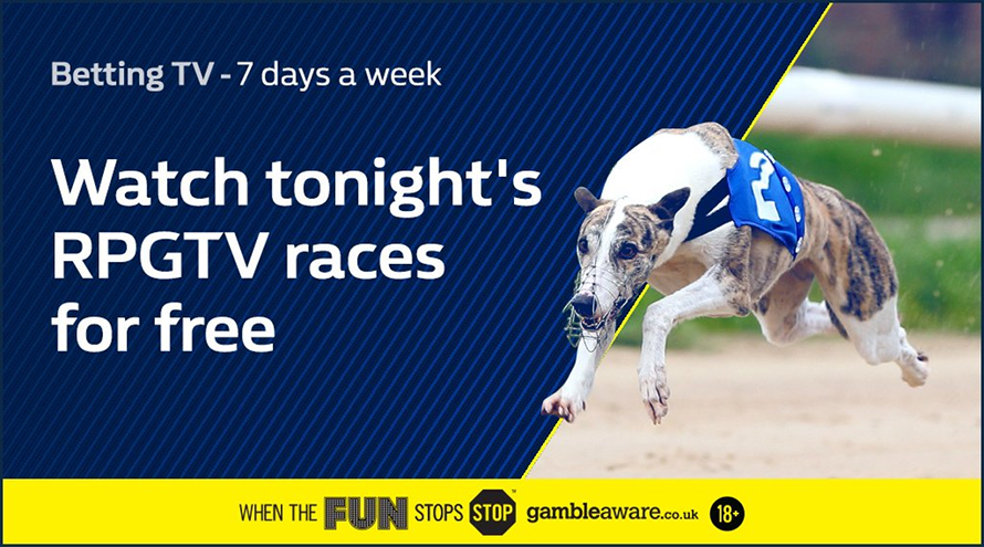 Greyhounds Racing on William Hill TV