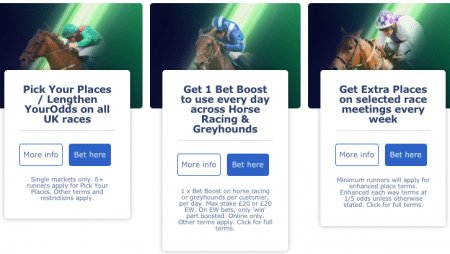 william hill horse racing